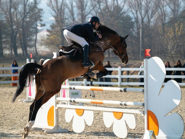 Os melhores exercícios para definir e fortalecer suas pernas